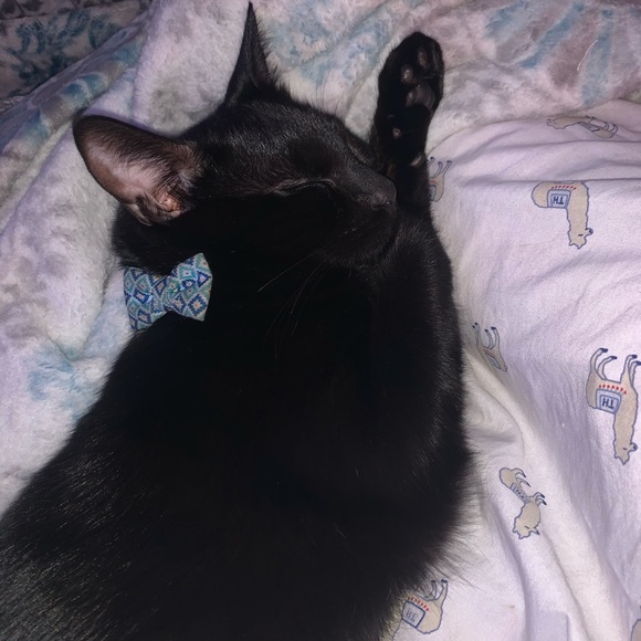 Hi Everybody!! My name is Kelly🦂♏️ - Picture 14 of 16